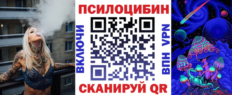 shop состав закладки Гулькевичи Псилоцибиновые грибы Psilocybine cubensis