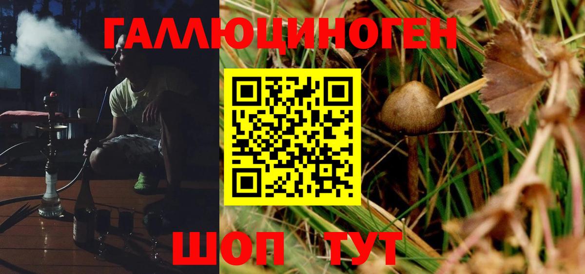 Галлюциногенные грибы MAGIC MUSHROOMS Гулькевичи