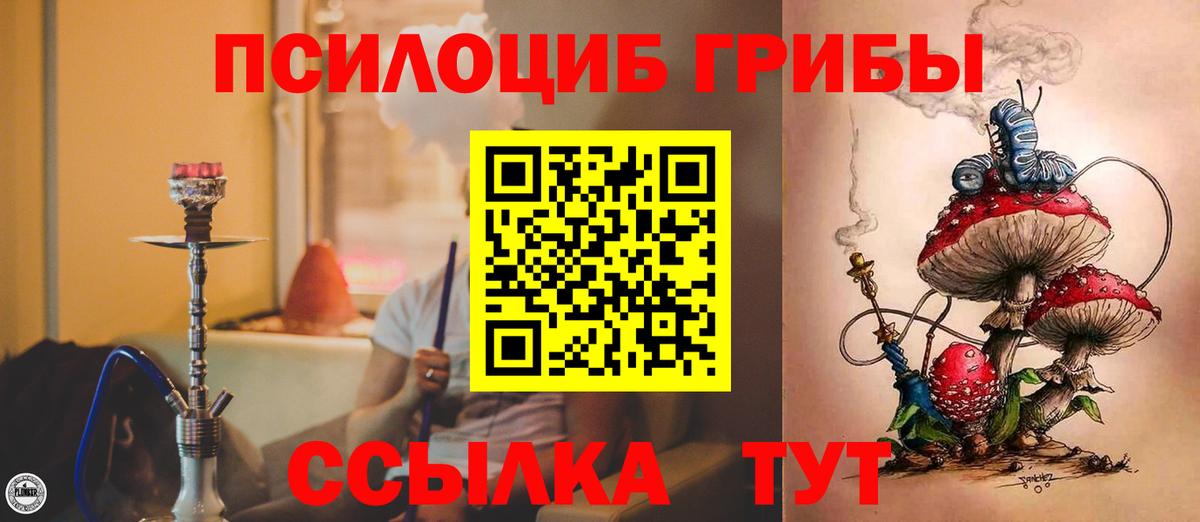 купить наркоту  Галлюциногенные грибы Psilocybe  Вход с VPN  Гулькевичи 
